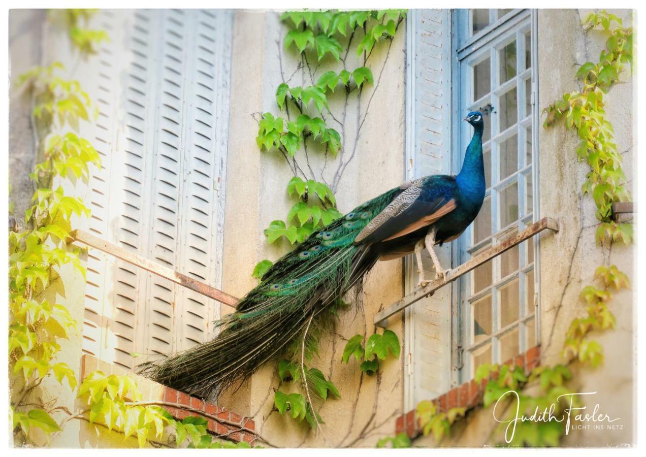 CielLe Relais Du Doubs En Bourgogne住宿加早餐旅馆 外观 照片